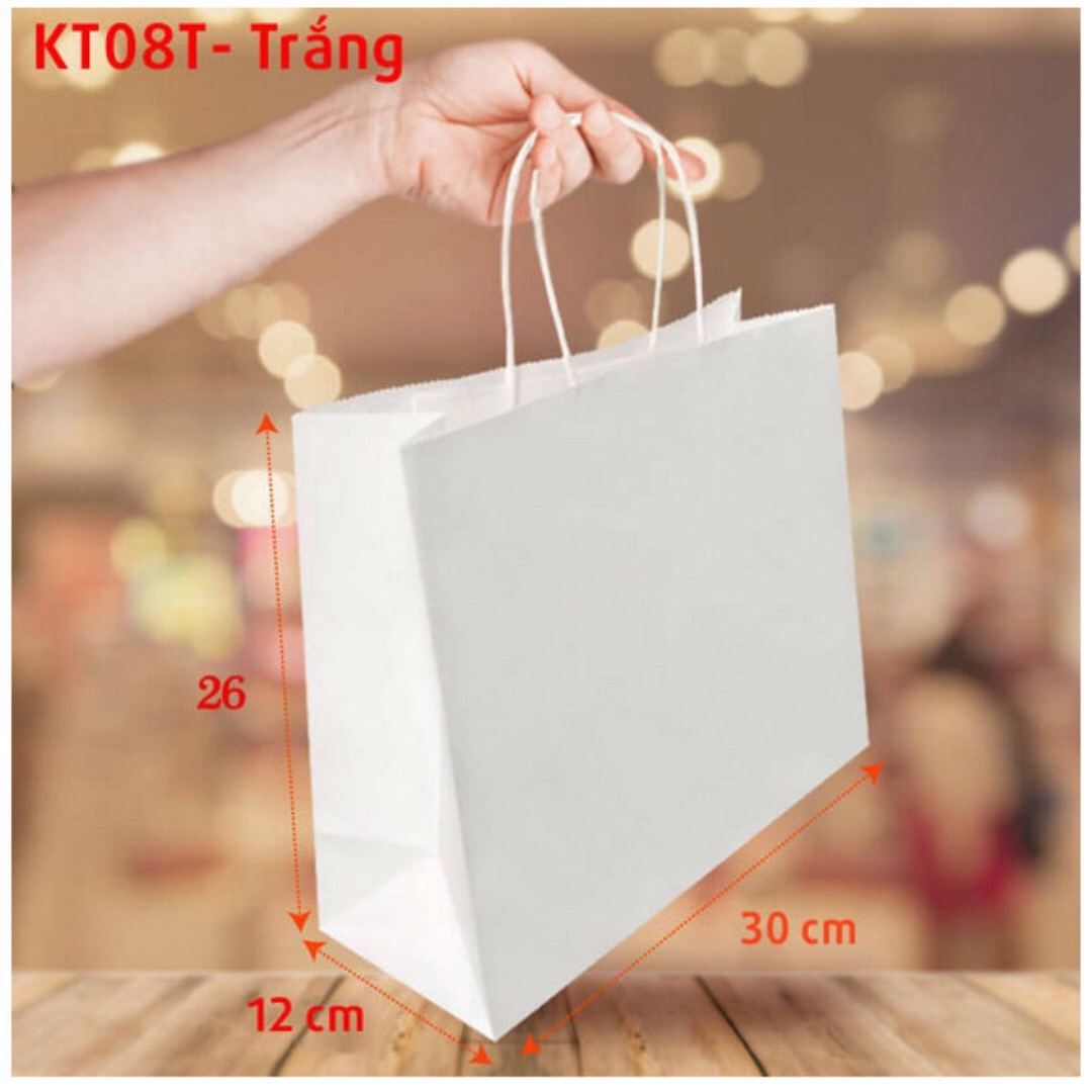 (10 cái) Túi giấy kraft có quai cao cấp dày và cứng cáp, túi kraft bảo vệ môi trường đựng quà tặng quần áo mỹ phẩm