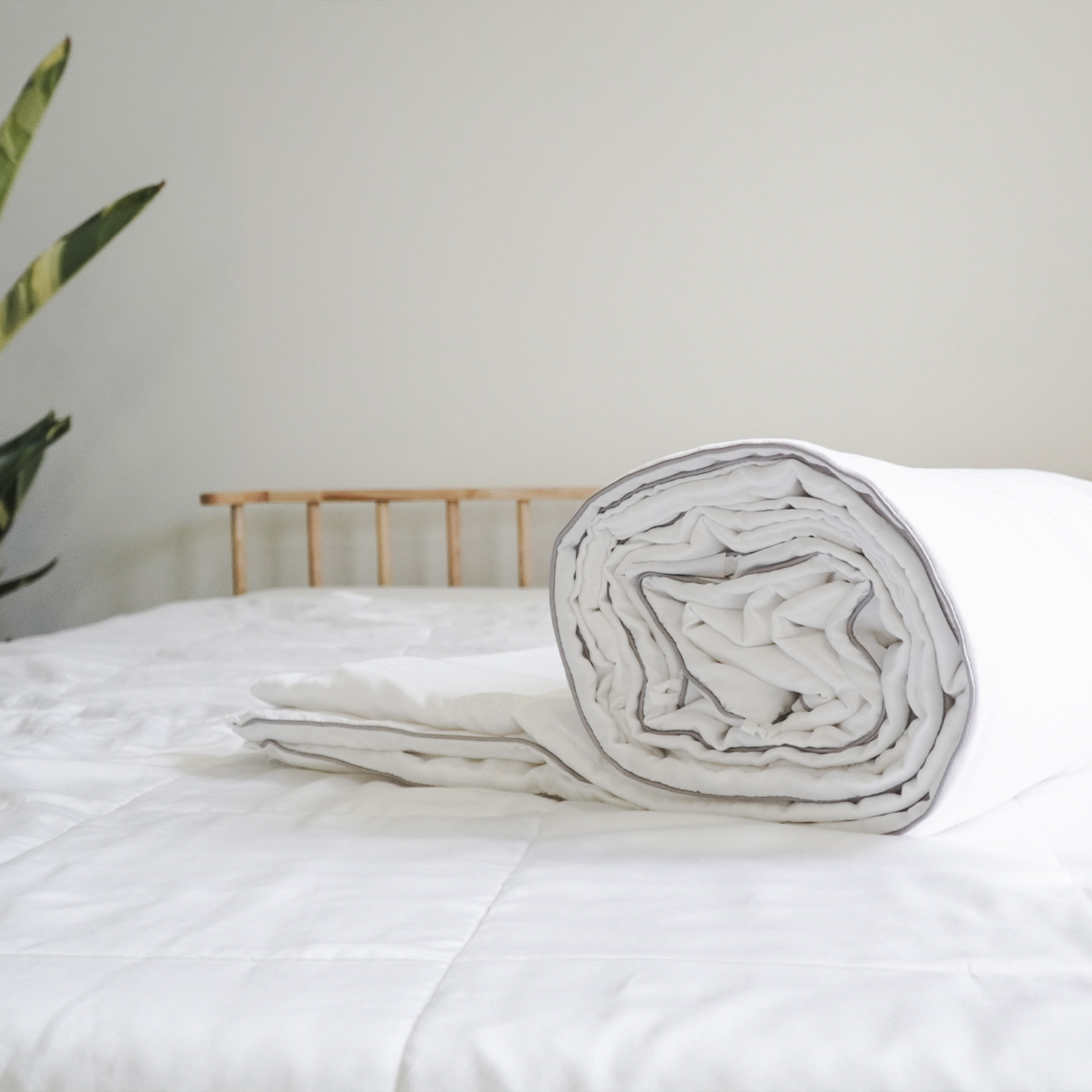 Chăn Bạch Đàn - Eucalytus Duvet (EDUVET) Ru9 100% Từ Thiên Nhiên, Thoáng Mát, Khả Năng Kháng Khuẩn