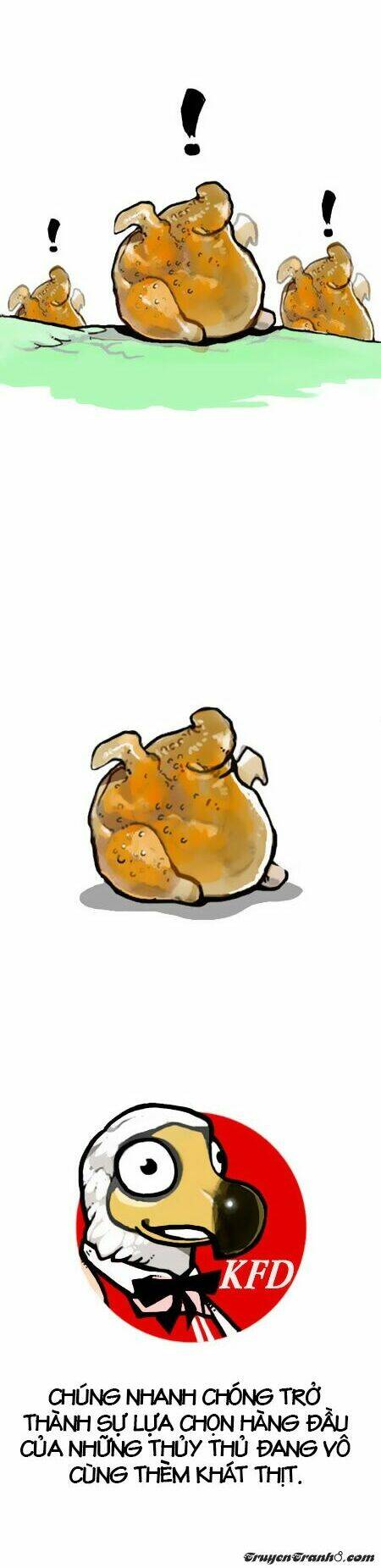 earth, human, and animal chapter 5 9