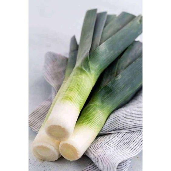 HẠT GIỐNG TỎI TÂY - 5g/ gói