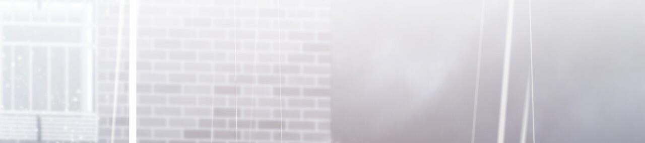 đàn thỏ của habibi chapter 34 255