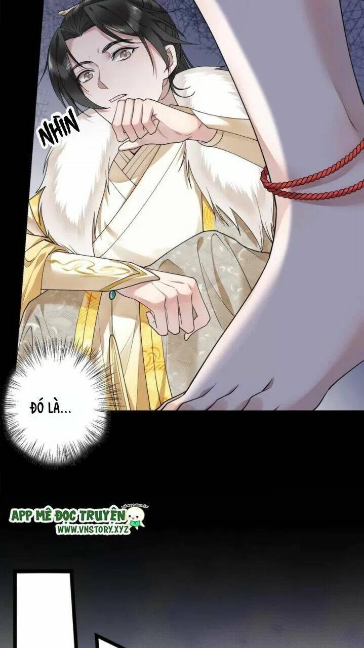 phượng hoàng vu phi chapter 61 22