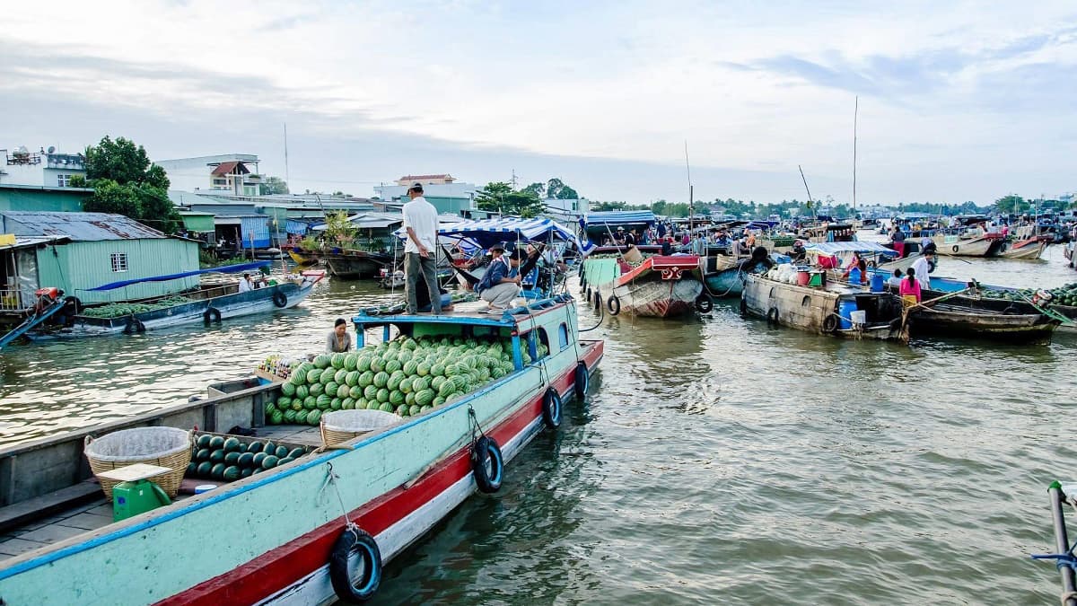 Tour Cần Thơ 1 Ngày – Khám phá vẻ đẹp đất “Tây Đô”