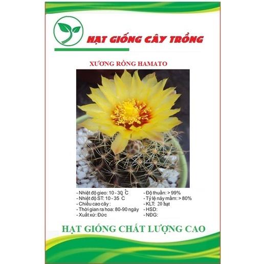 Hạt giống hoa xương rồng hamato CT47 - Gói 20 hạt