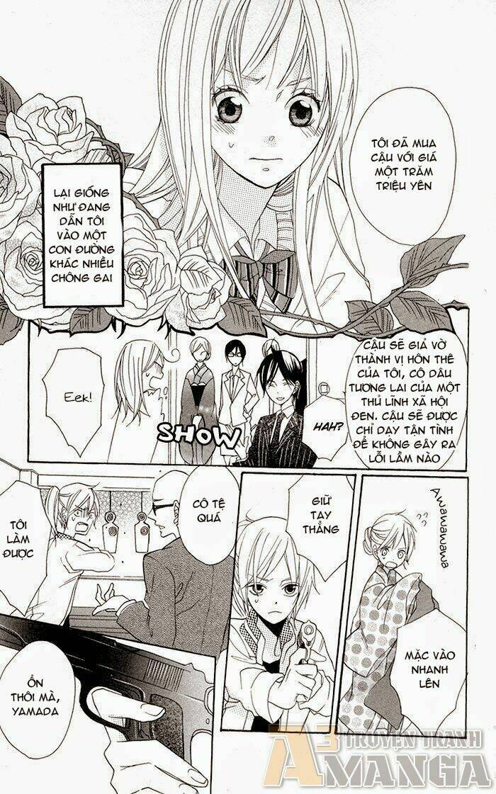 hoa hồng hoang dã chapter 2 8