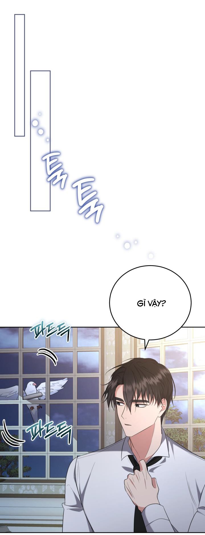 tiểu thư, ta chẳng thích cô chút nào! chapter 23 4