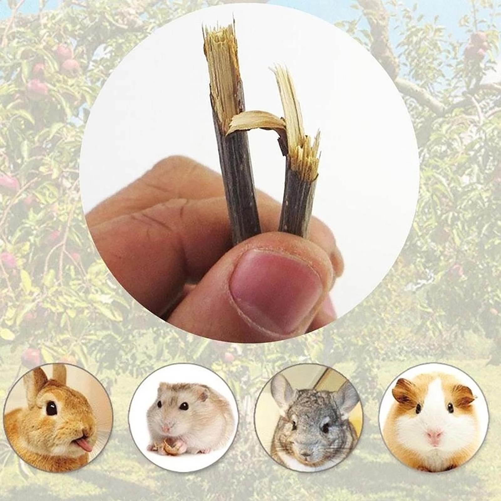 Wood Chew Sticks 1000g Hamster Groundhog Squirrels Rodent Animals