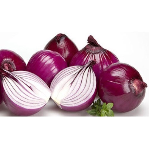 Hạt giống Hành tây đỏ SALAD RED 027