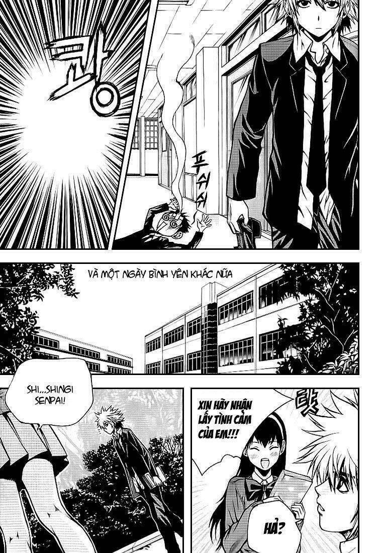 zippy ziggy chapter 15 6