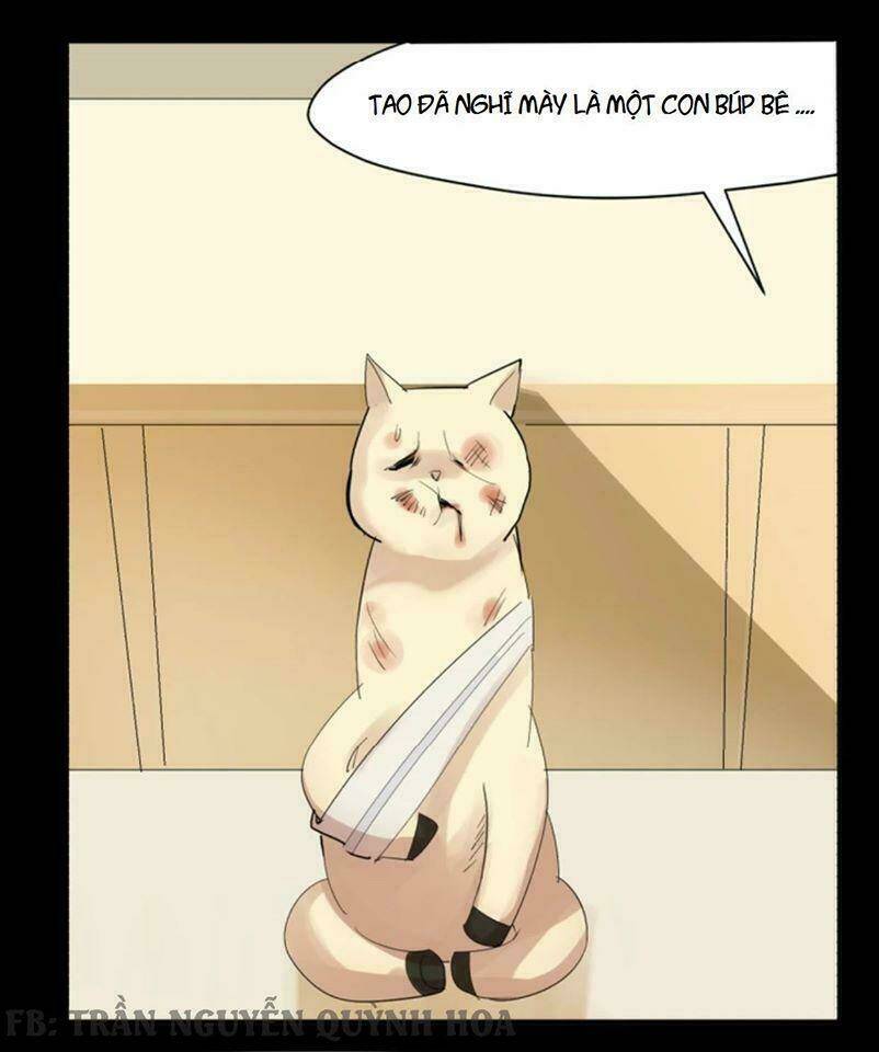 fod star chapter 1 11