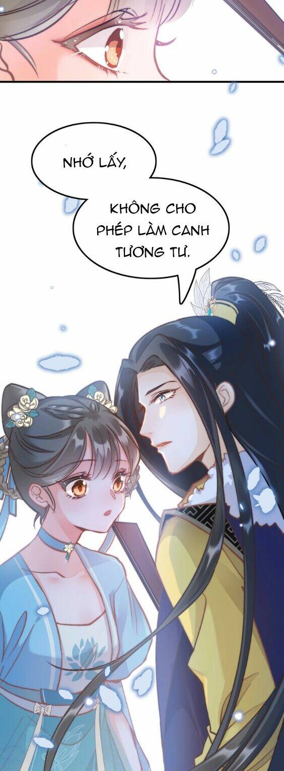 cánh diều xanh bay trong cơn gió chapter 6 40