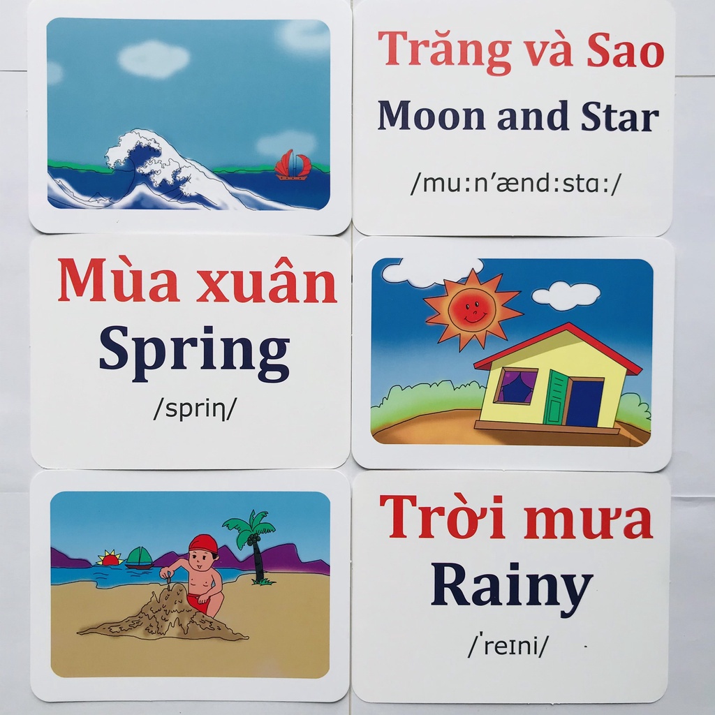 Sách - Thẻ Học Thông Minh Flashcard song ngữ Việt - Anh 19 Chủ Đề - Dạy trẻ về thế giới xung quanh