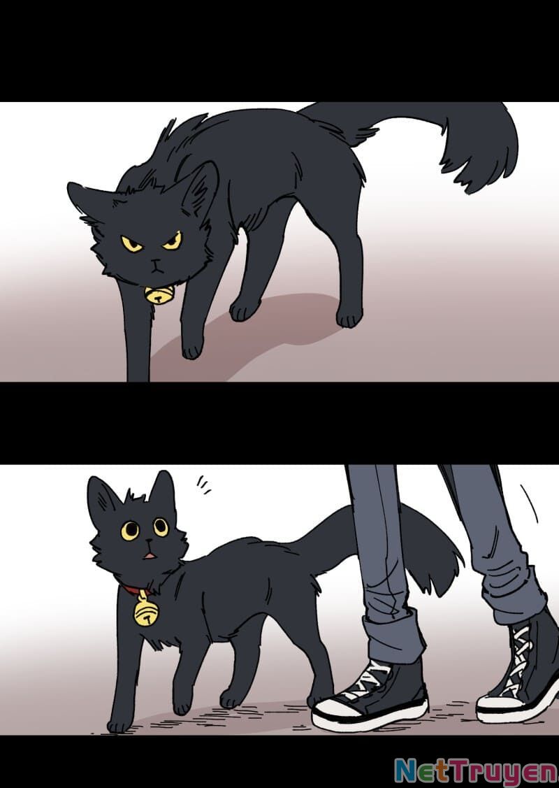 lumine - cội nguồn ánh sáng chapter 97 4