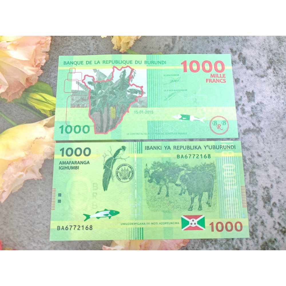 Tiền cổ Burundi mệnh giá 1000 Francs hình con bò, mới 100% UNC, tặng túi nilon bảo quản