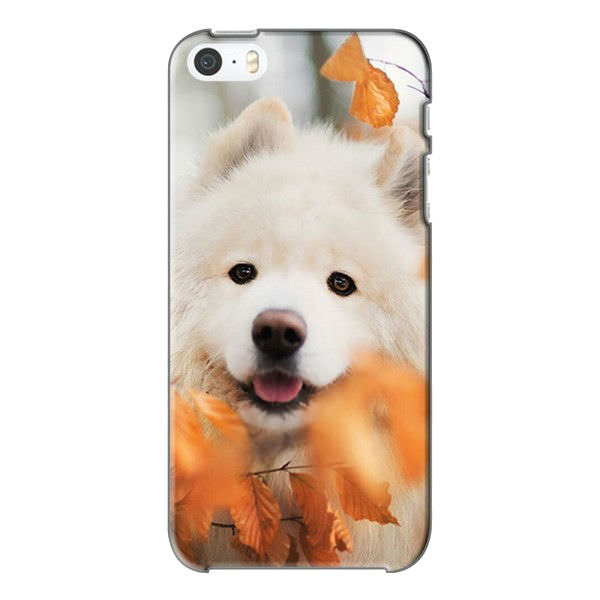 Ốp Lưng Dành Cho iPhone 5 - Mẫu 4