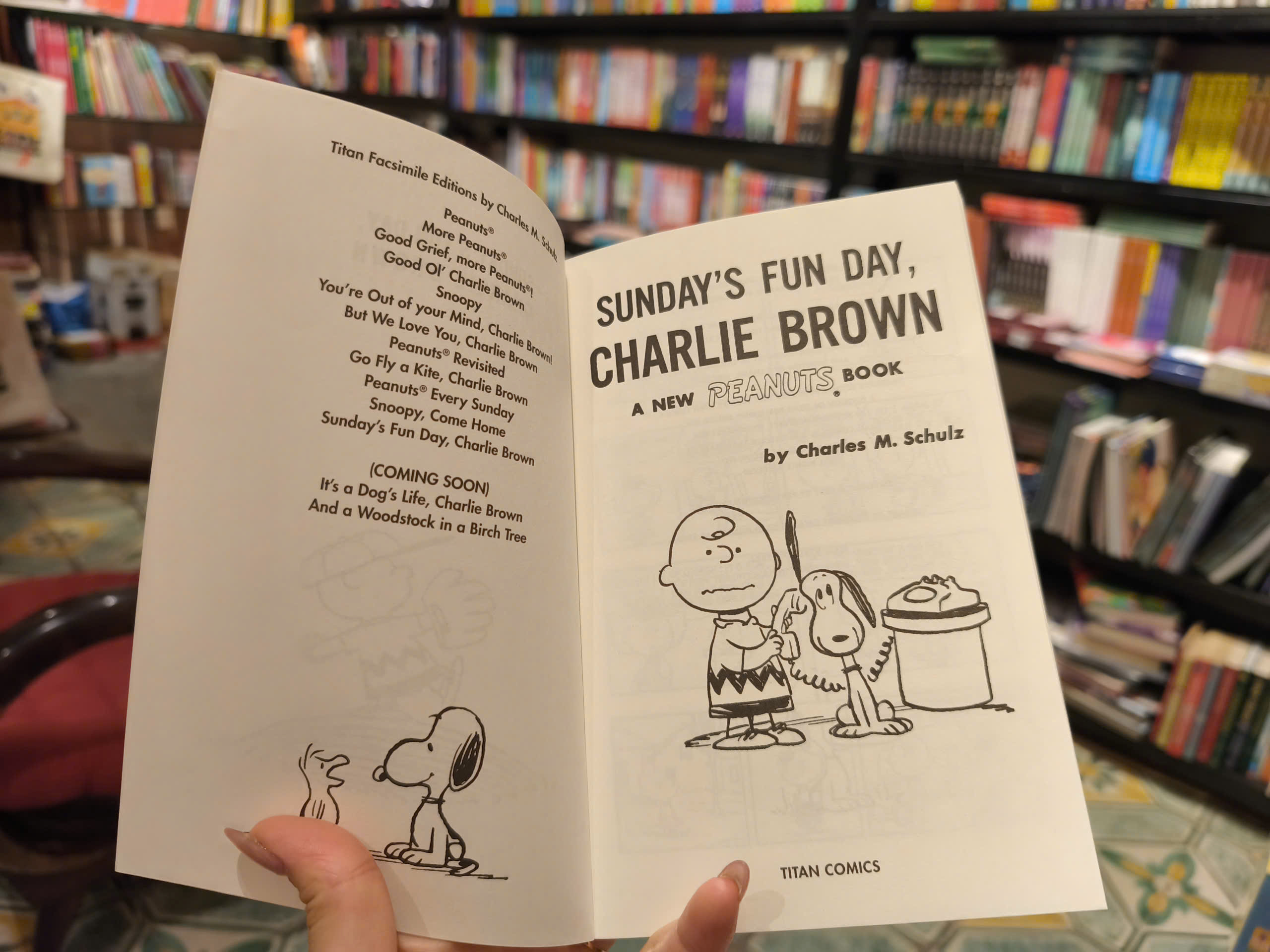 Sách - Sunday's Fun Day, Charlie Brown by Charles M Schulz - A New Peanuts Book - Children book