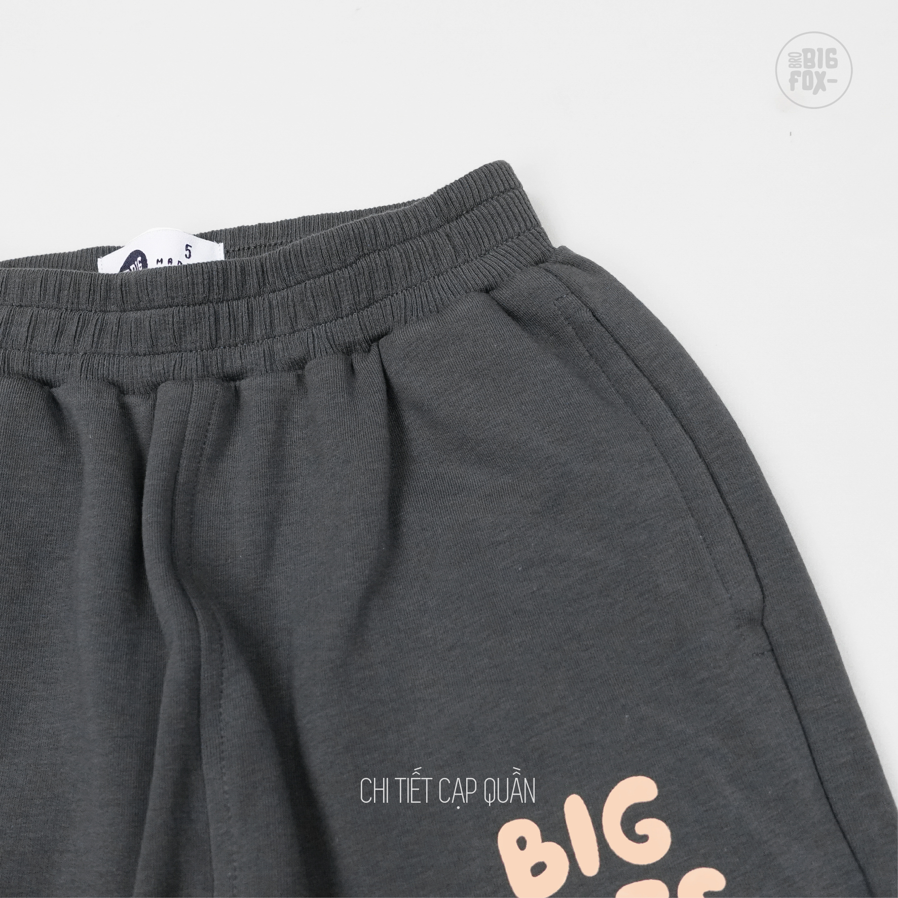 Bộ nỉ thu đông cho bé trai Bigfox Miss Meow size đại dài tay phối màu phom Hàn cỡ trẻ em 3-11 tuổi