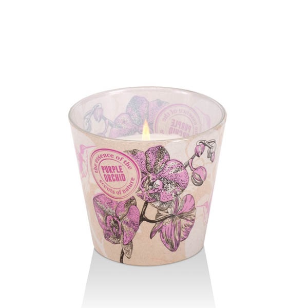 Ly nến thơm Bartek Candles BAT1416 Orchid Eco 115g (Hương hoa địa lan, Mẫu ngẫu nhiên)