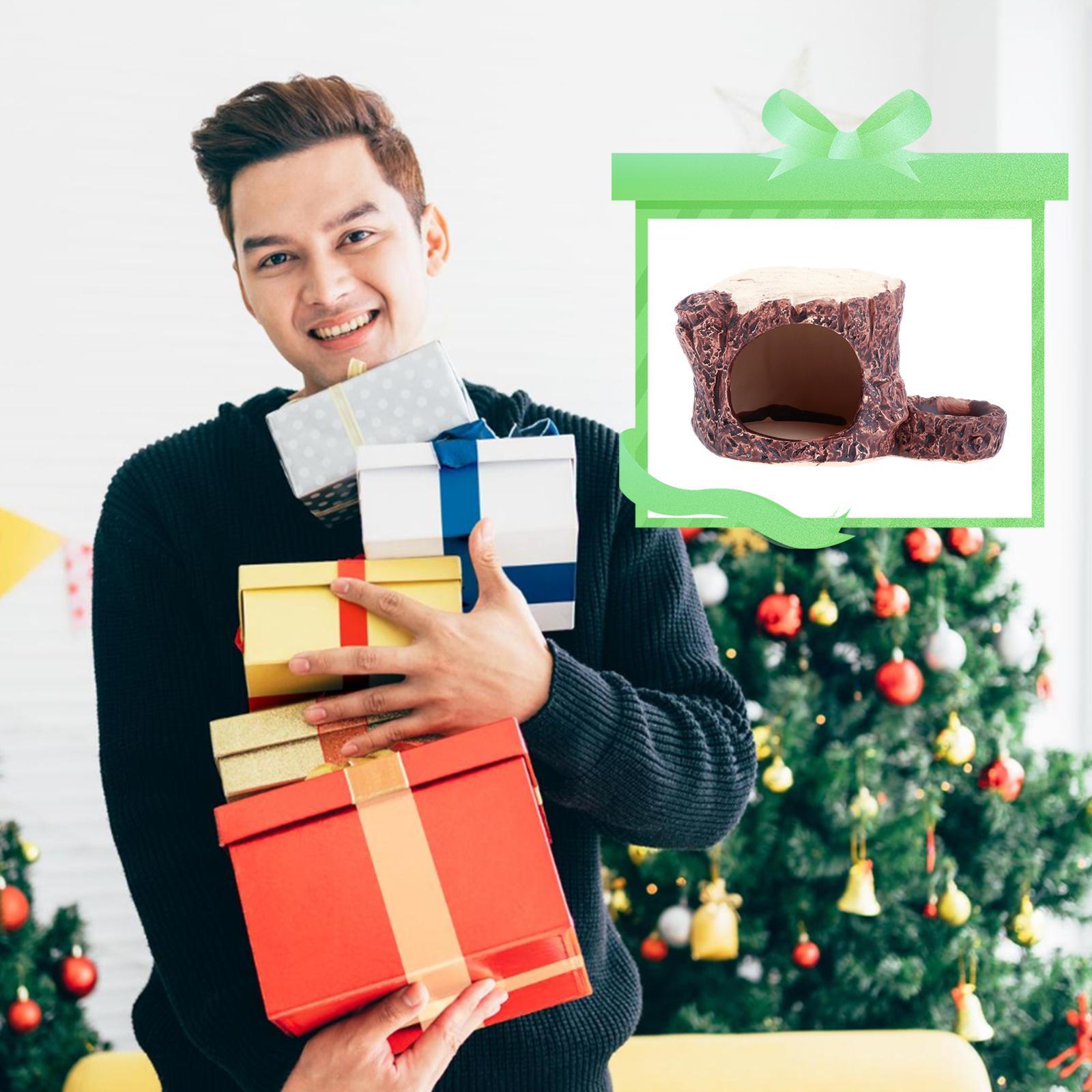 Ceramic Cave Bed Habitat Hut Decorative Chinchillas Hamster Houses Hideout