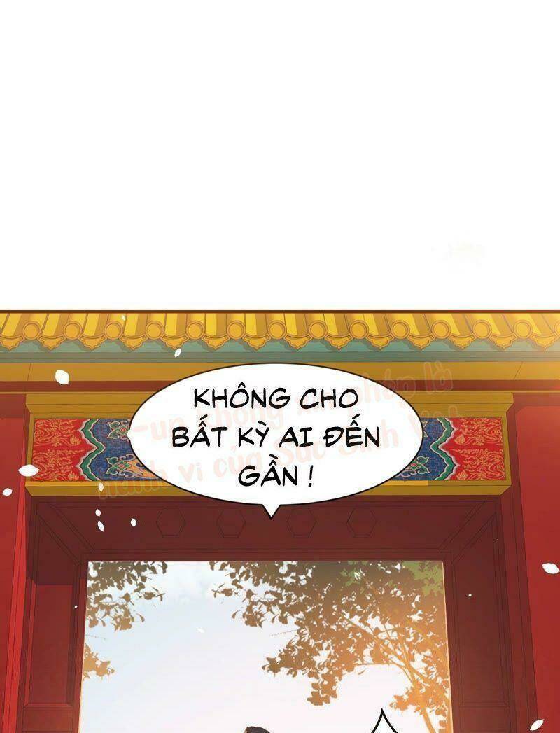 quận chúa vững vàng, thiết lập nhân vật không thể vỡ chapter 1 11