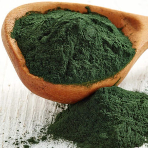 Bột Tảo Xoắn Nhật Bản SPIRULINA 100% nguyên chất