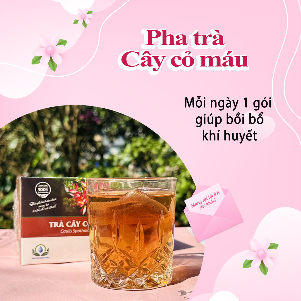 Trà Cây Cỏ Máu Hộp 30 Túi Lọc Của Siêu Thị Thiên Nhiên