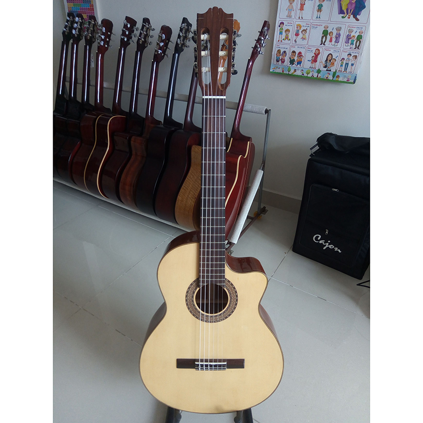 Guitar Classic DC250