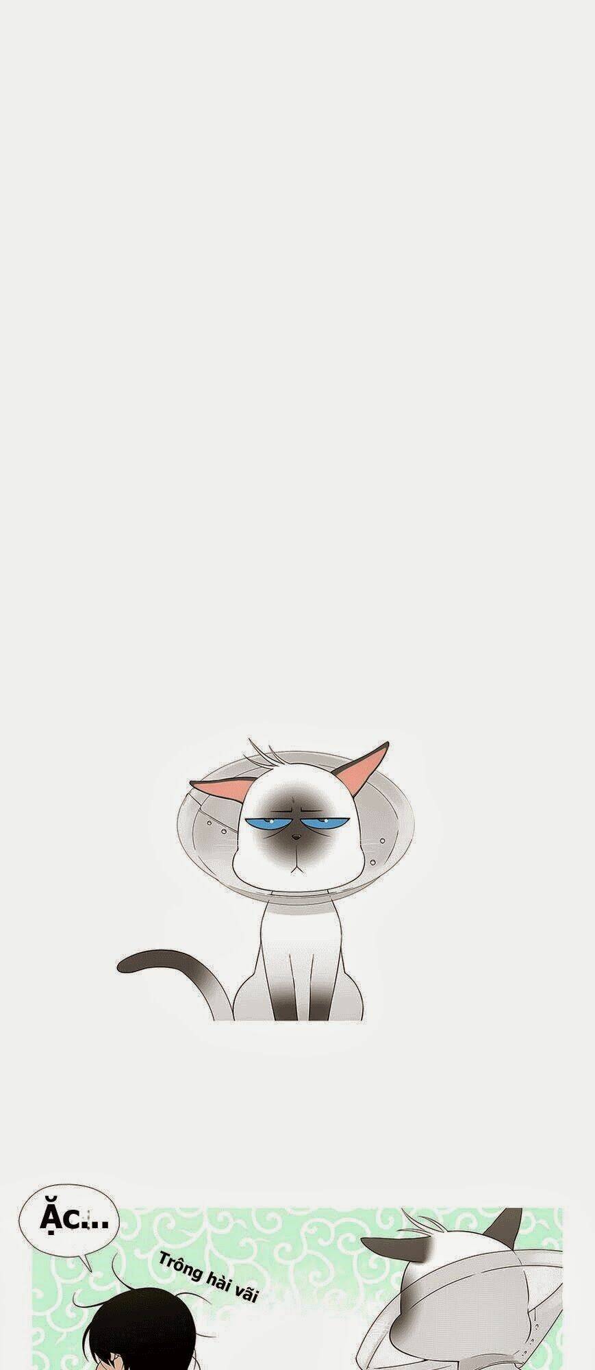 trái tim của một người bạn chapter 11 39