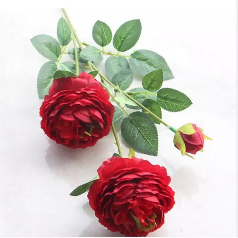Cành hoa mẫu đơn Paeonia cao 61cm trang trí nhà cửa