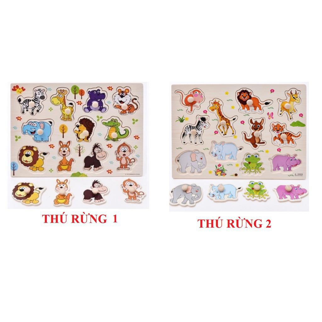 Combo 5 bảng gỗ có núm cầm chọn chủ đề cho bé 23x30 cm