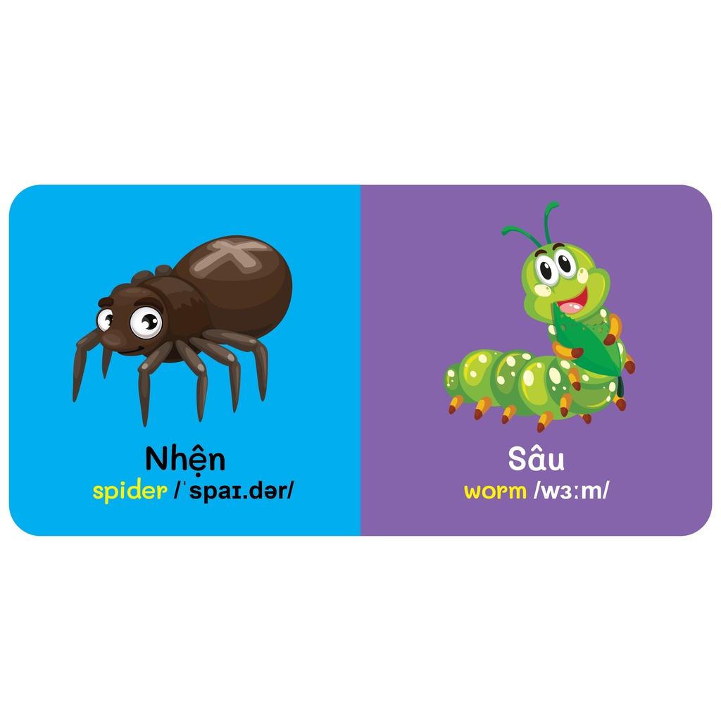 Sách - Baby'S First Picture Dictionary - Từ Điển Bằng Hình Đầu Tiên Của Bé - Côn Trùng - Insects (Bìa Cứng)