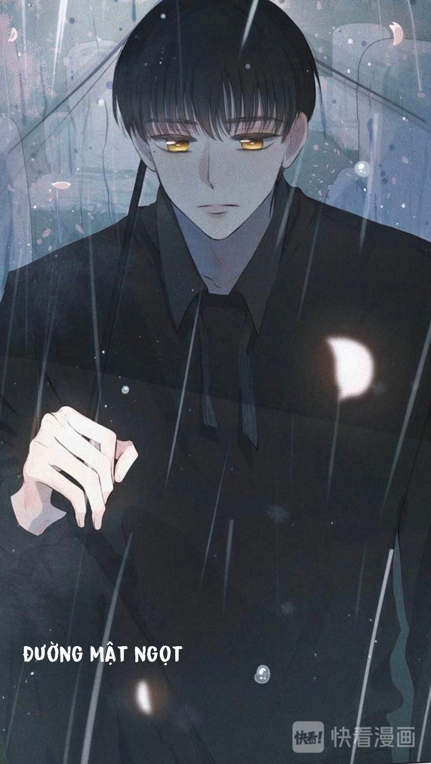 nỗi buồn của hoa cẩm tú cầu chapter 1 6