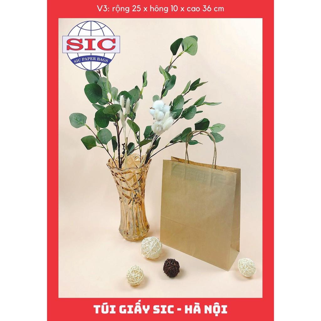 100 CHIẾC TÚI GIẤY KRAFT V3- 25x10x30 CÓ QUAI
