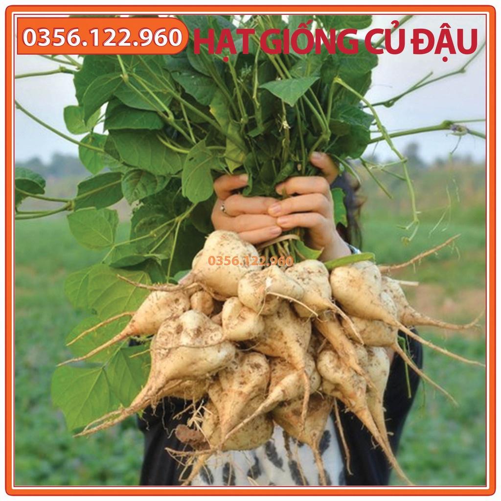 Hạt giống củ đậu cao sản - gói 200g - Hạt đậu chất lượng F1