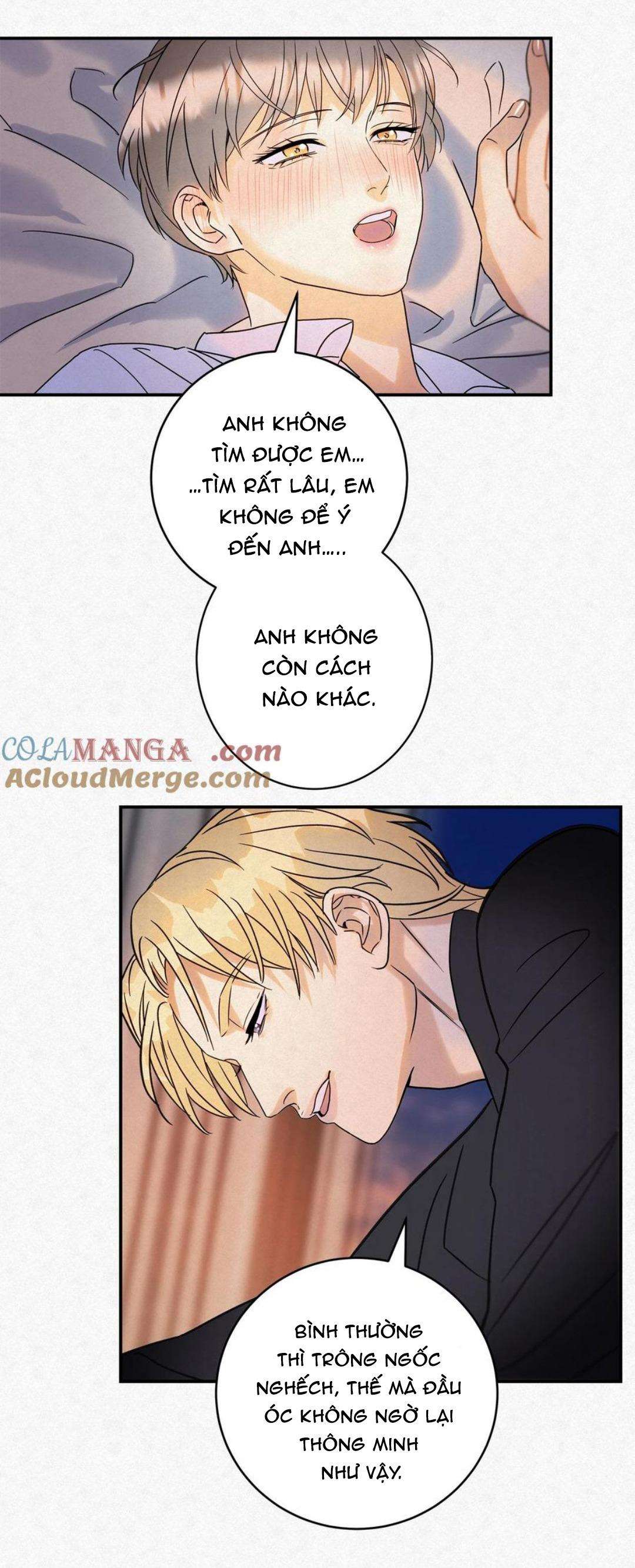 anh trai rẻ tiền của tôi chapter 14 2