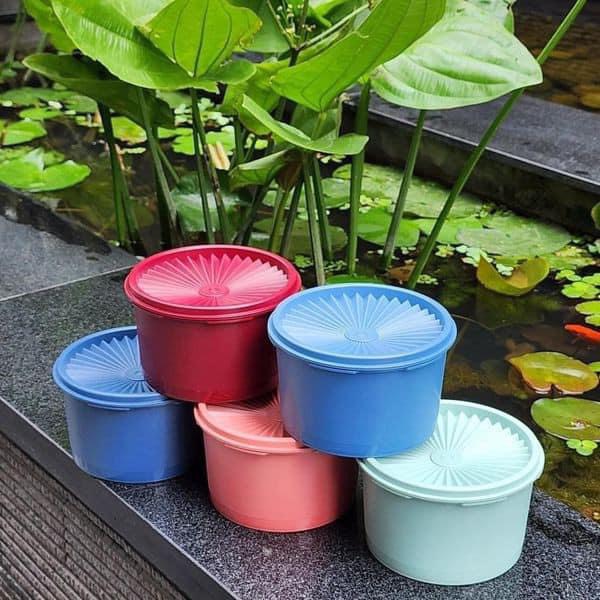 Bộ Hộp Bảo Quản Thực Phẩm Tupperware Mini Deco - Kín Nước - Đóng Hộp Chỉ Một Nút Ấn