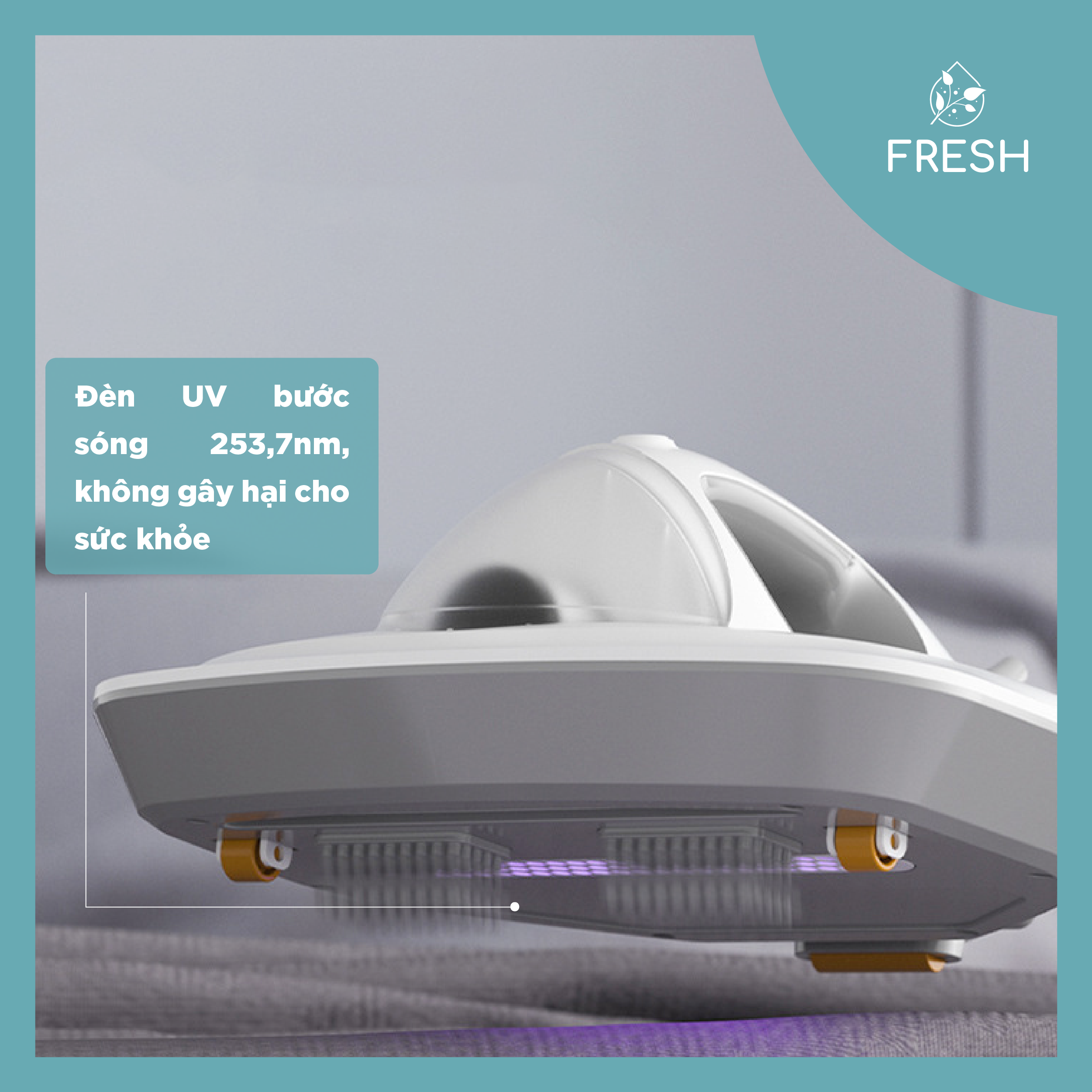 Máy Hút Bụi Cầm Tay Diệt Khuẩn Cho Giường Nệm Công Suất 400W Chứa Đèn UV - FRESH