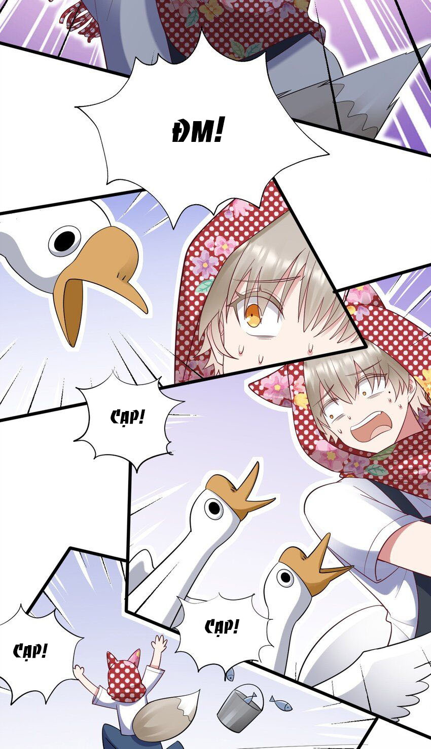 tức thời phạm quy [ tức thì vi quy ] chapter 62 26