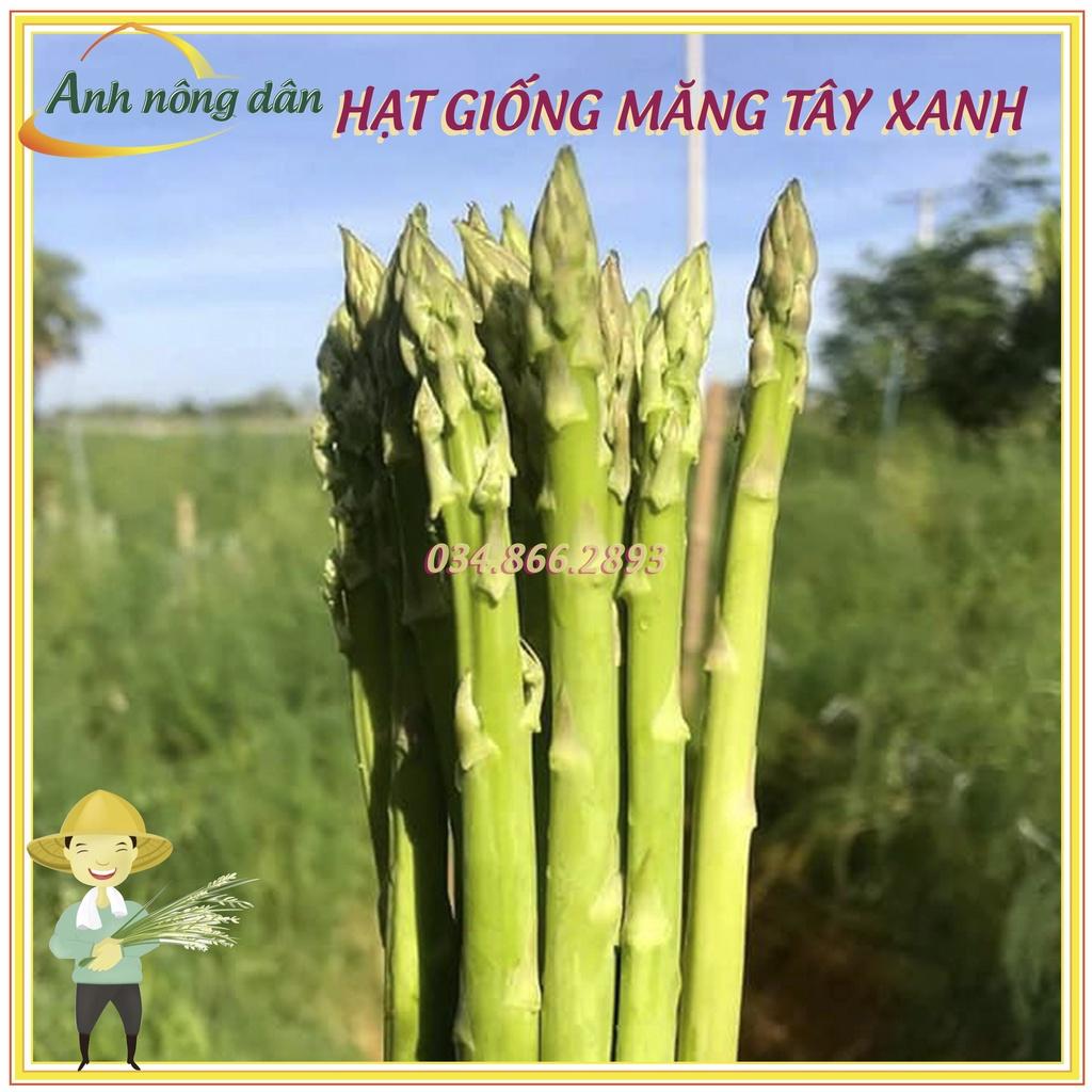 Gói 1g Hạt giống cây măng tây xanh F1 cao sản, dễ trồng, thu hoạch quanh năm