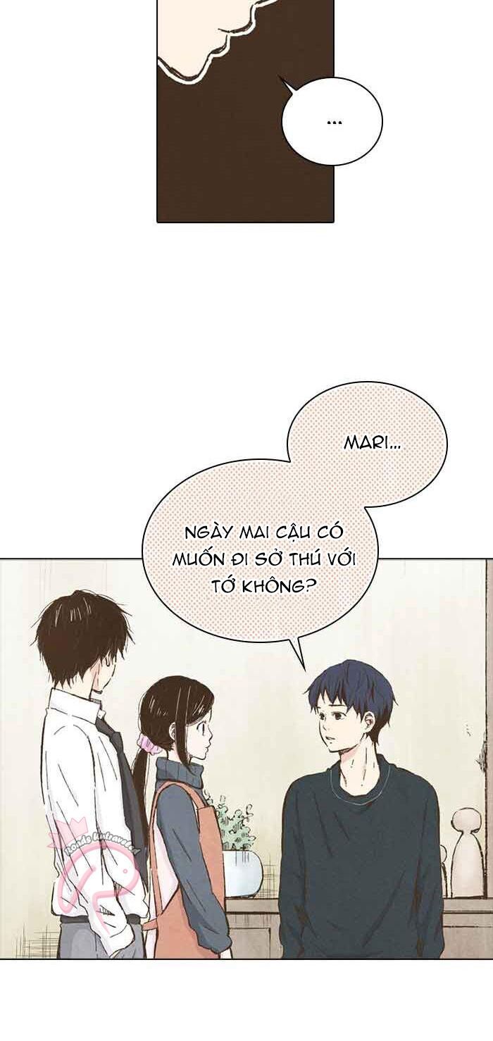 honey! honey! marry me! chapter 74 36