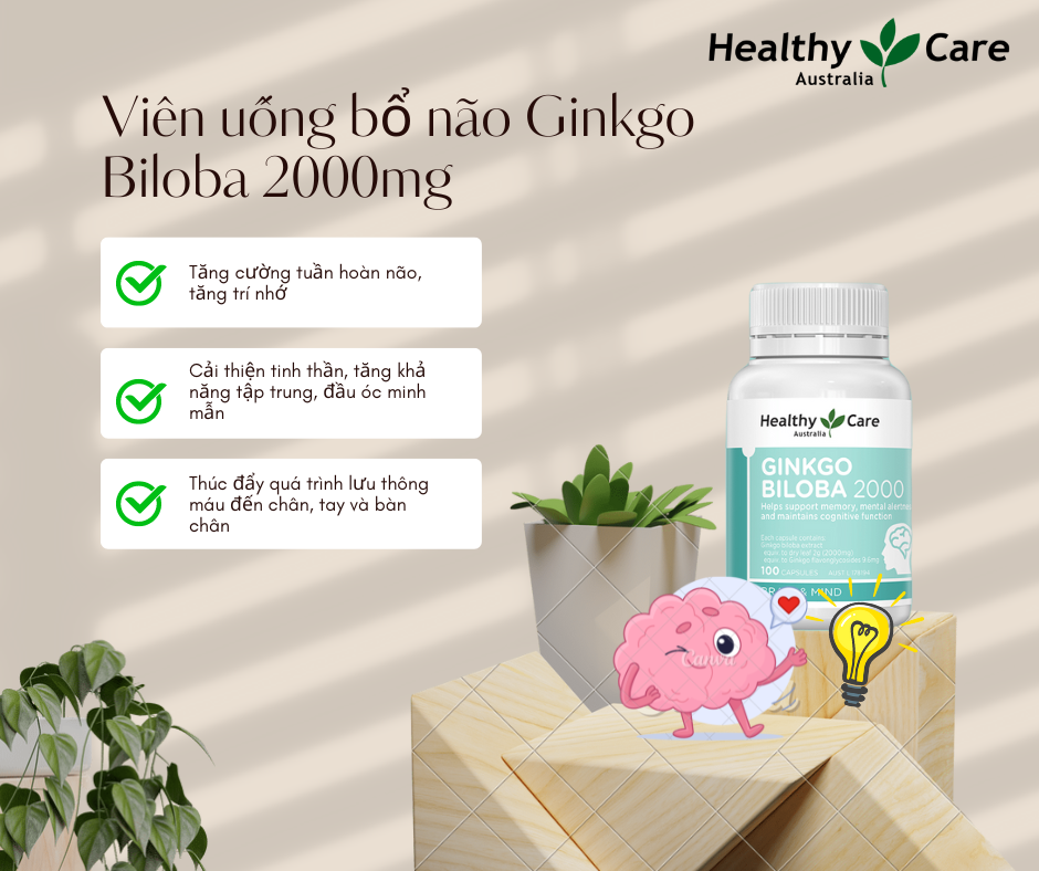 Bổ não Úc Healthy Care Ginkgo Biloba 2000 Hỗ trợ các vấn đề tuần hoàn não, Cải Thiện Trí Nhớ, lưu thông máu, Tăng khả năng nhận thức - OZ Slim Store