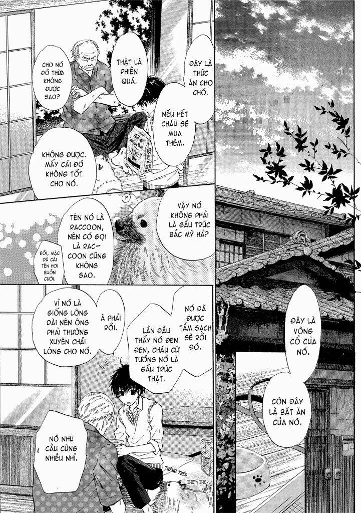 người yêu siêu cấp chapter 11 42