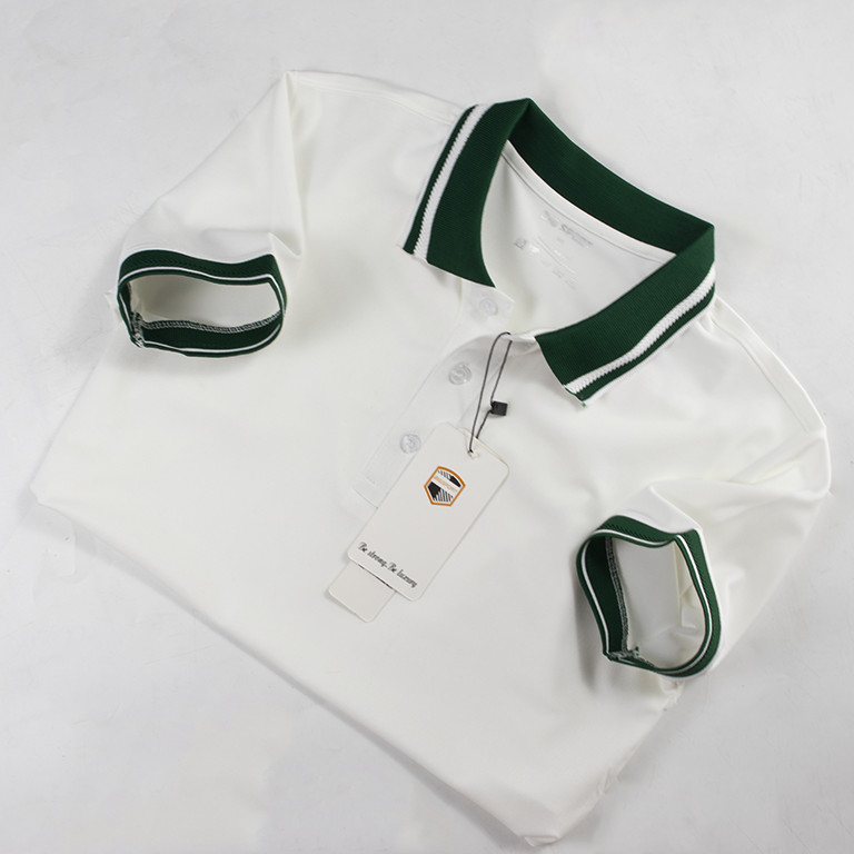 Áo Thun Nam Trơn Basic Polo Ngắn Tay Có Cổ Phối Sọc 100% Vải Cotton Thoáng Mát, Trẻ Trung Cao Cấp Big Sport