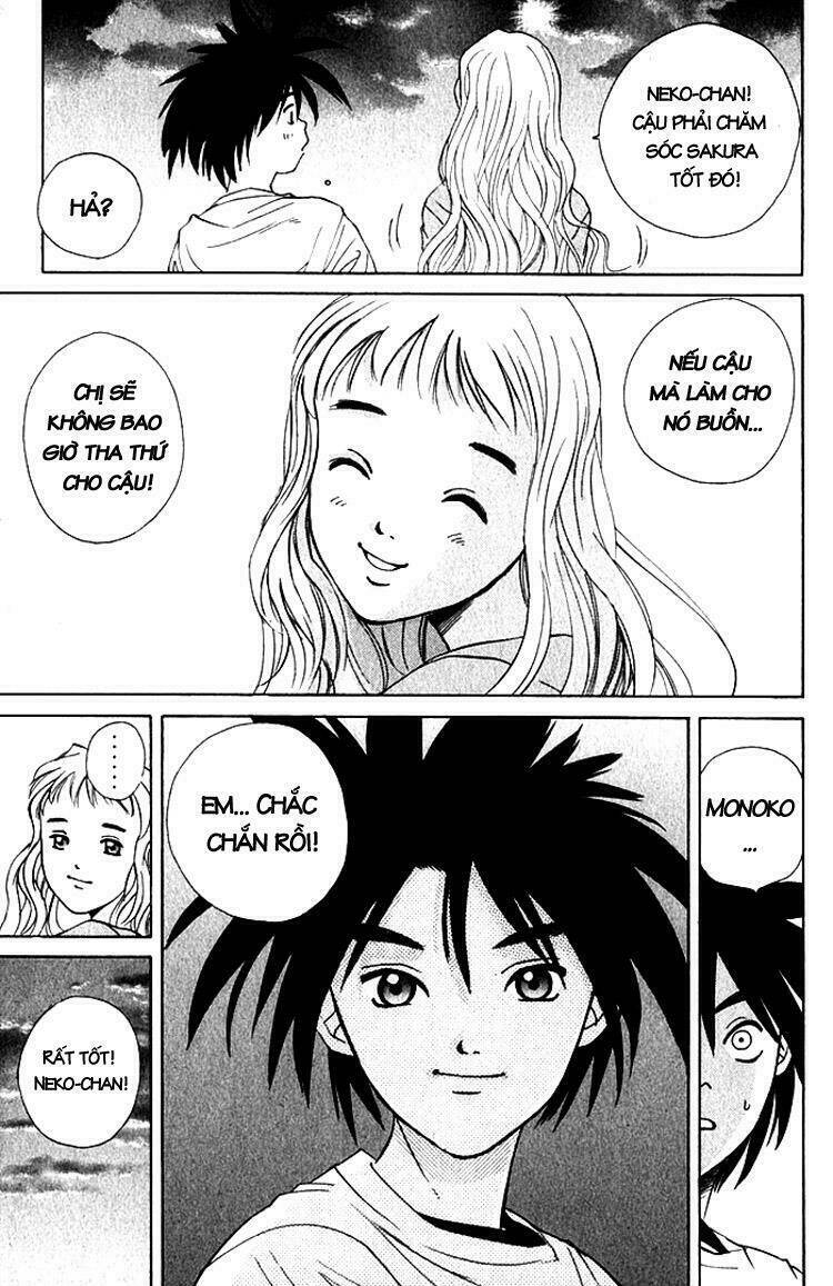 parallel chapter 19 25