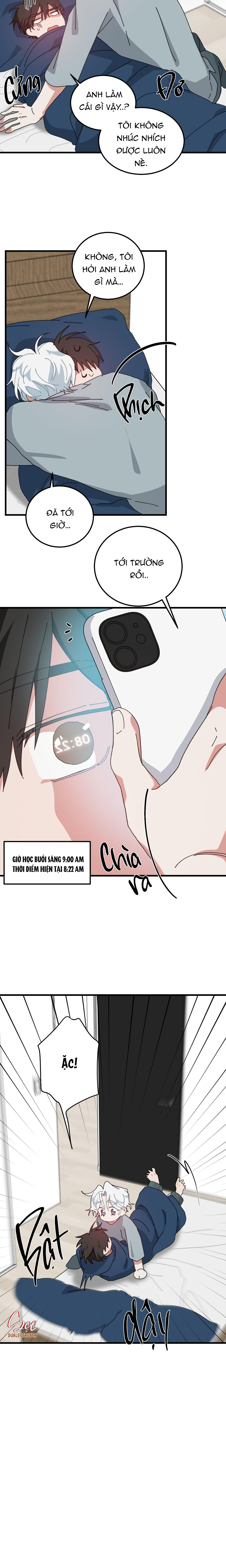 yêu tôi đi, thần hộ mệnh chapter 44 6