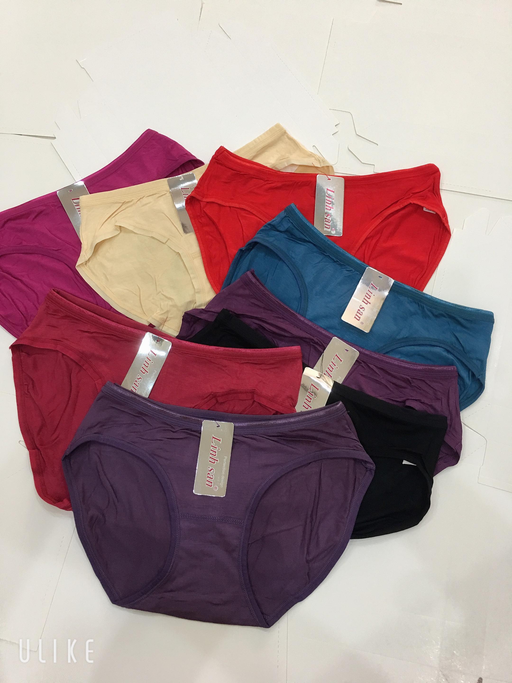 Combo 10 chiếc quần lót cotton nữ dáng cơ bản