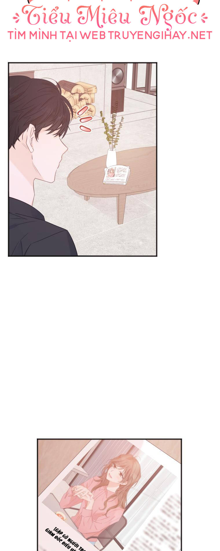 Dịch Vụ Chuyển Phát Hình Mẫu Lý Tưởng chapter 9 31