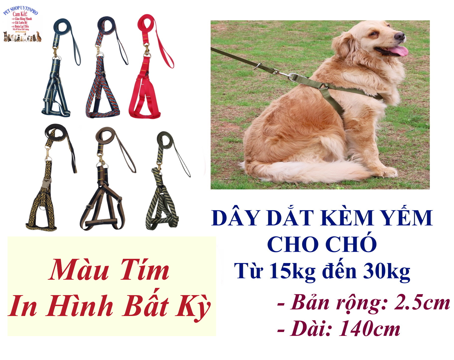 Dây dắt kèm yếm cho Chó Mèo từ 15kg đến 30kg Bản rộng 2.5cm Dài 140cm Chất liệu dù cao cấp, chắc chắn, An toàn