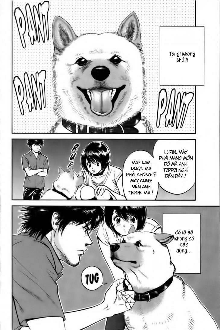 cô nàng yêu chó chapter 23 15