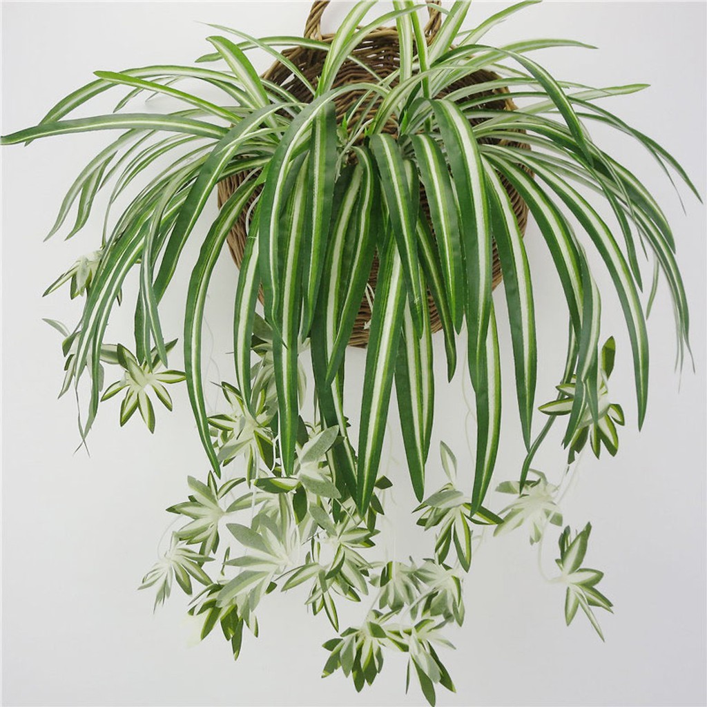 Hoa Giả - Cụm Lá Tóc Tiên Rủ Dài 60cm Loại Đẹp
